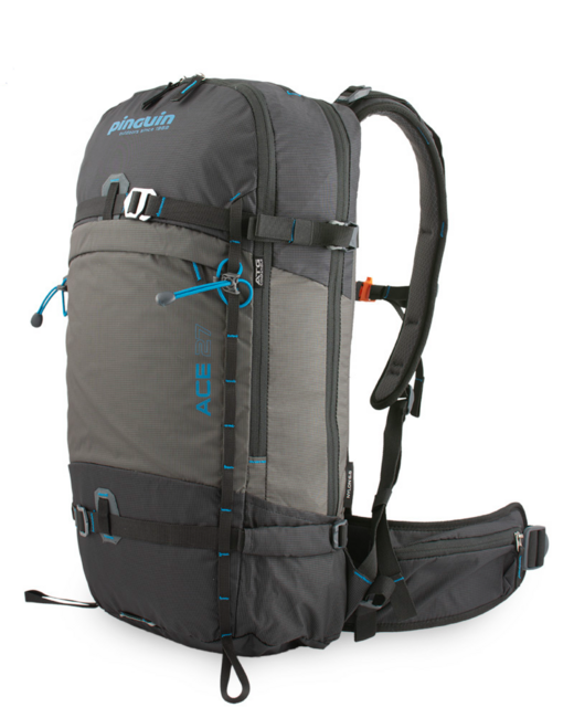 Pinguin Ace 27 Σακίδιο Πλάτης Nylon, 27 L, Μαύρο