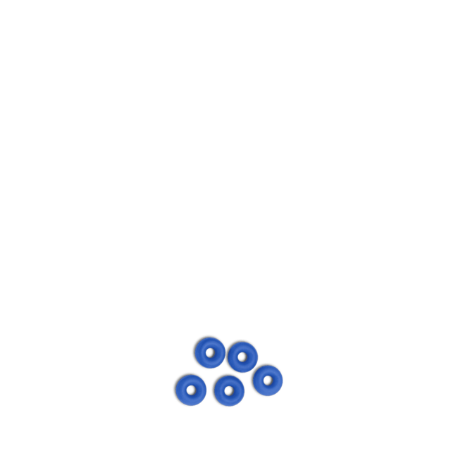 PRIMUS O-ring για ανταλλακτικό βαλβίδας