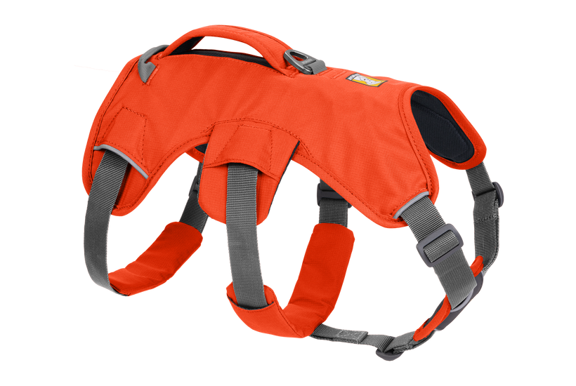 Ruffwear Web Master Φαράς, Πορτοκαλί Φλόγα