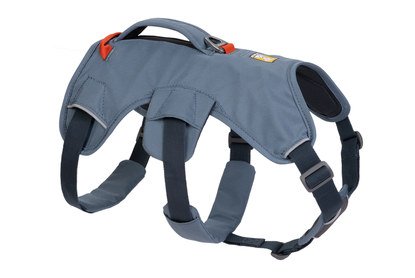 Ruffwear Web Master Ζώνη σώματος, State blue