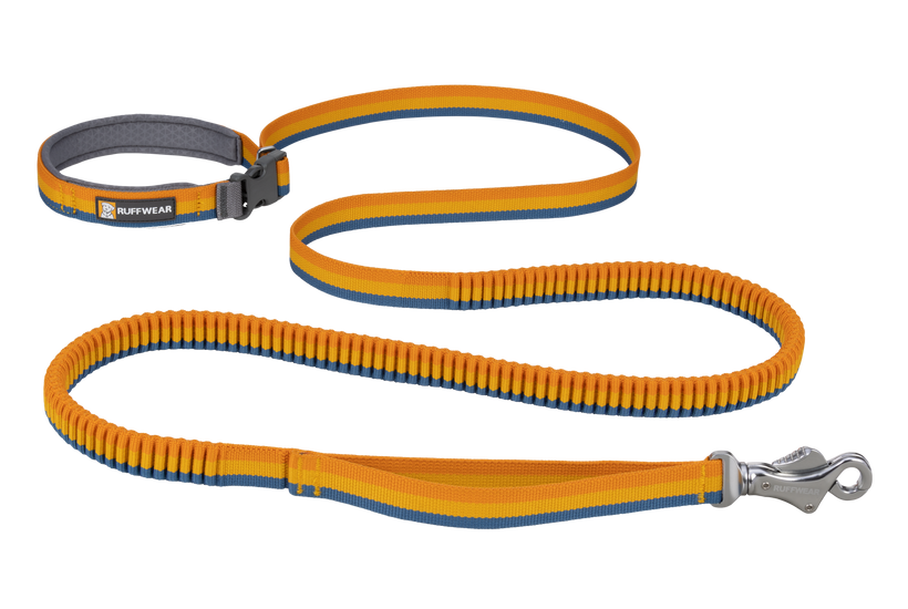 Ruffwear Roamer Λουρί, yellow snow