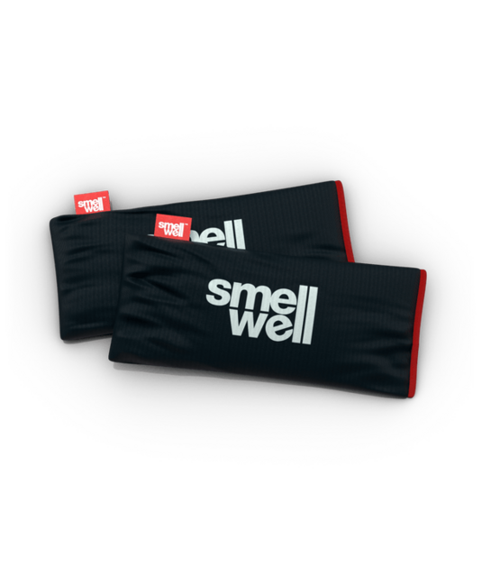 SmellWell Active XL Πολυλειτουργικός Αποσμητικός, Black Stone
