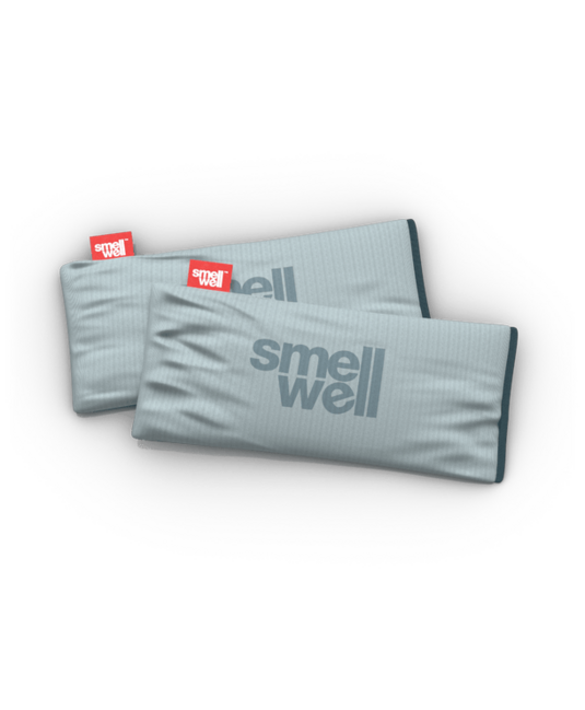 SmellWell Active XL πολυλειτουργικός αποσμητικός, Silver Grey