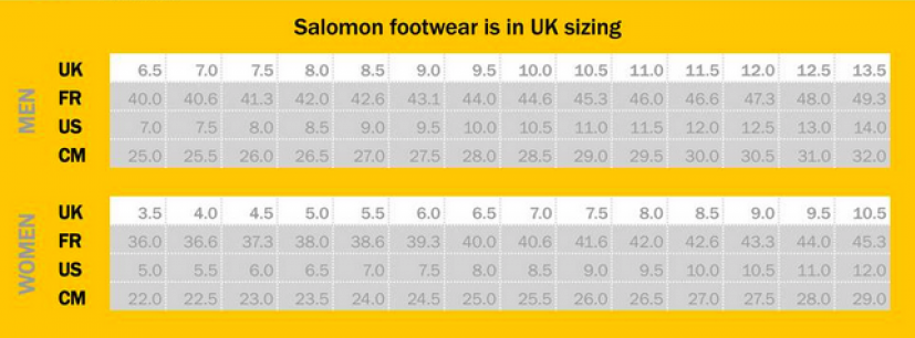 Salomon Quest 4D GTX Forces 2 EN Μπότες, Καφέ Slate Brown